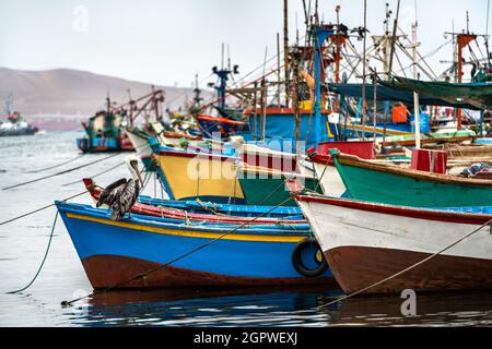 Pelican su una barca di legno a Paracas in Perù Foto Stock