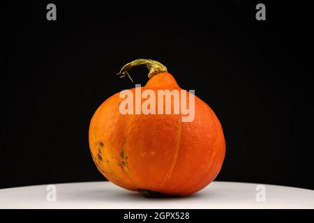 Pumpkin arancione Hokkaido o Kuri rosso su sfondo nero. Concetto di verdure fresche d'autunno Foto Stock
