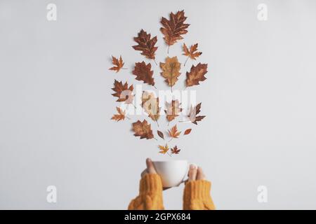 Composizione piatta con foglia d'autunno e mattina. Autunno, autunno concetto. Concetto minimalista. Foto di alta qualità Foto Stock