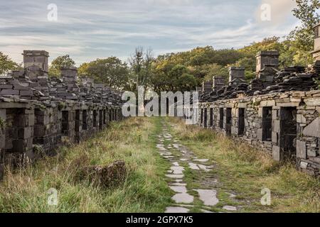 Old Miners' Cottages, Cava Dinorwic Foto Stock