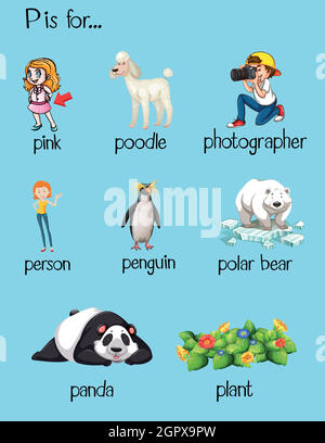 Molte parole iniziano con la lettera P. Illustrazione Vettoriale