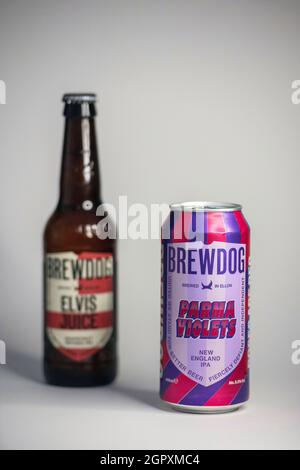 Una lattina di birra Parma Violets New England IPA insieme ad una bottiglia di birra Elvis Juice grappe infuso IPA sia dal birrificio scozzese BrewDog. Foto Stock