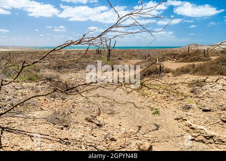 La Guajira deserto in Colombia. Foto Stock