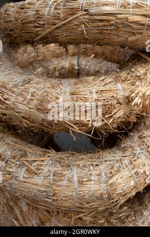Cannucce rotonde Foto Stock