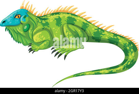 L'iguana verde strisciare da sola Illustrazione Vettoriale