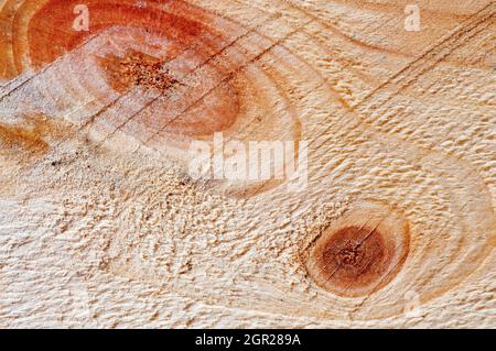 Astratto legno sfondo irruvidito con anelli di crescita e linee è visto nella sezione. Foto Stock