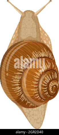 Lumaca isolata su sfondo bianco Illustrazione Vettoriale