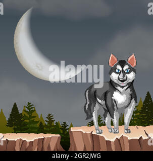 Husky cane lupo sulla scogliera di notte Illustrazione Vettoriale