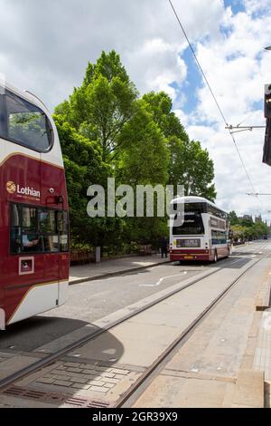 I giardini di Princes Street, Edimburgo, Scozia Foto Stock