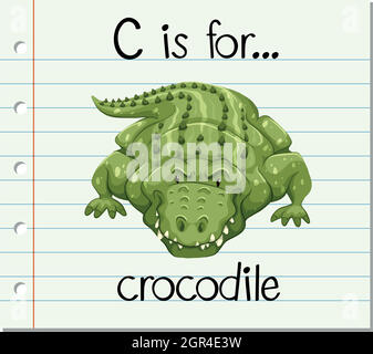 La lettera C della flashcard è per il coccodrillo Illustrazione Vettoriale