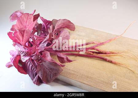 Gli spinaci rossi, Amaranthus dubius, prende il nome dalle sue foglie luminose e rosse. Le verdure frondosi sono una dieta di base in molte parti dell'India Foto Stock