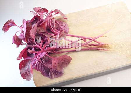 Gli spinaci rossi, Amaranthus dubius, prende il nome dalle sue foglie luminose e rosse. Le verdure frondosi sono una dieta di base in molte parti dell'India Foto Stock