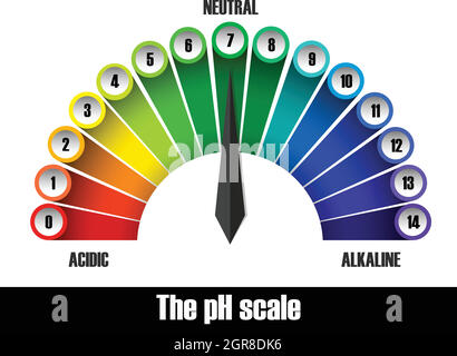 Il grafico della scala del ph Illustrazione Vettoriale