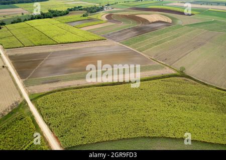 Le diverse forme e i modelli astratti dei campi e delle strade di canna da zucchero visti dall'aria in alta prospettiva Foto Stock