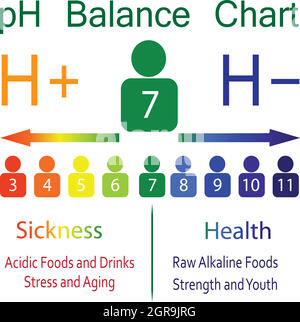 Il grafico della scala di bilanciamento PH in un corpo umano Illustrazione Vettoriale