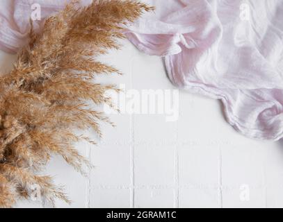 Flatlay di pampas erba su sfondo piastrella. Concetto minimo. Disposizione piatta, vista dall'alto, spazio di copia. Foto Stock