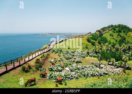 Songaksan Mountain Trail con mare a Jeju Island, Corea Foto Stock