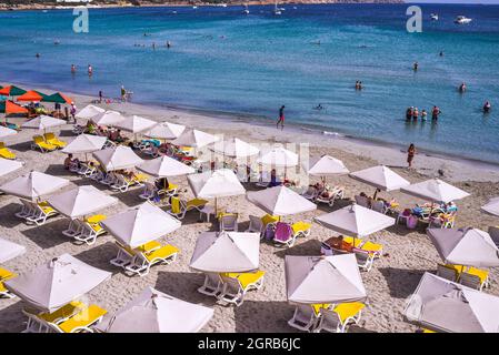 Malta: Baia di Mellieha o Baia di Ghadira – una vasta spiaggia di sabbia nella parte nord-occidentale dell'isola. Foto Stock