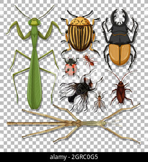 Set di insetti diversi su sfondo trasparente Illustrazione Vettoriale