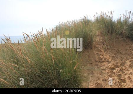 Camber, East Sussex, UK - 06.10.21: Sabbia campanaria East Sussex UK - vista delle dune di sabbia campanaria con cielo e mare dune tenute insieme con erbe Foto Stock