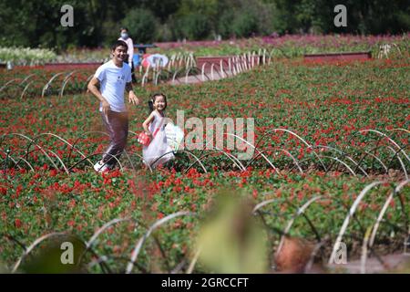 Hefei, provincia cinese di Anhui. 1 ottobre 2021. I cittadini godono di tempo libero in un parco a Hefei, nella provincia di Anhui, nella Cina orientale, 1 ottobre 2021. Credit: Zhang Duan/Xinhua/Alamy Live News Foto Stock