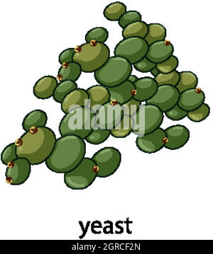 Stile Cartoon lievito con nome Illustrazione Vettoriale