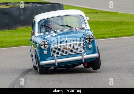 FIAT 1100 classica, auto da corsa d’epoca, nel Trofeo di St Mary per le berline di produzione anni ’50 al Goodwood Revival 2014. Marcia in curva a velocità sostenuta Foto Stock