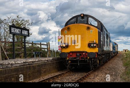 Classe 37 a Berney Arms Norfolk Foto Stock