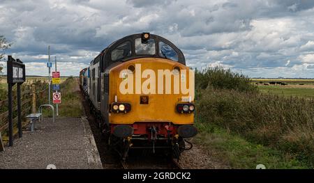 Classe 37 a Berney Arms Norfolk Foto Stock