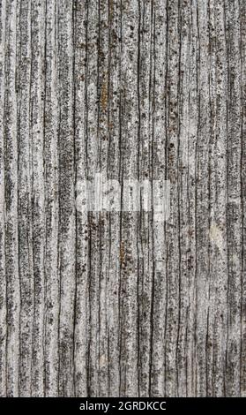 legno grigio a grana lunga e intemperie Foto Stock