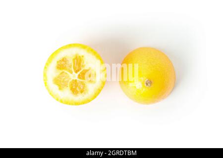 Metà di kumquat isolate su sfondo bianco. Metà di kumquat fresche tagliate, piccolo agrume isolato su bianco Foto Stock