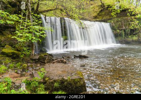 Upper Gushing Falls/Sgwd Ddwli Uchaf sul fiume Nedd Fechan nel Brecon Beacons National Park Brecknockshire Wales UK Foto Stock