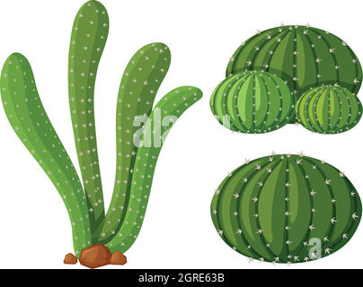 Tre tipi di piante di cactus Illustrazione Vettoriale