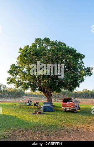 Camper sotto l'albero al campeggio Moreton Telegraph Station, Penisola di Cape York, Queensland settentrionale, Australia Foto Stock