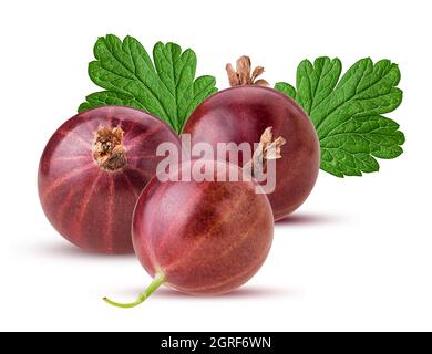 Tre frutti di bosco rossi con foglia verde isolato su sfondo bianco. Tracciato di ritaglio. Profondità di campo completa. Foto Stock