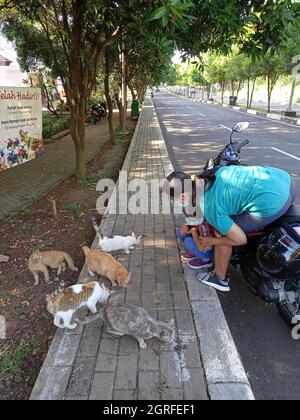 Photo Editorial, 26 settembre 2021, Giacarta Est, Indonesia, Bambini e sua madre che nutrono gatti di paglia Foto Stock