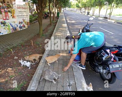 Photo Editorial, 26 settembre 2021, Giacarta Est, Indonesia, Bambini e sua madre che nutrono gatti di paglia Foto Stock