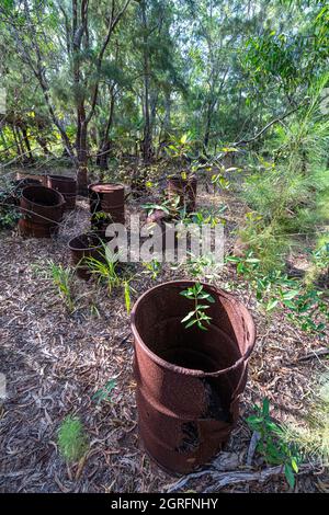 I tamburi di carburante arrugginiti sparsi nel bush vicino all'aeroporto di Bamaga sono ciò che rimane del deposito di carburante WW per Higgins Field, Bamaga, Penisola di Cape York. Foto Stock