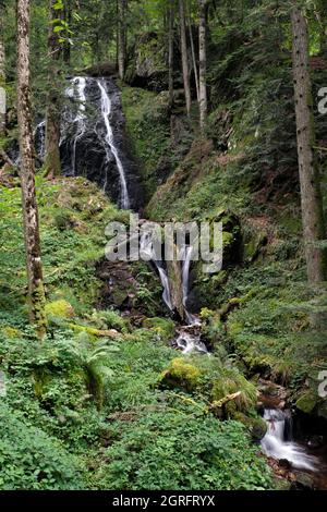 Francia, Alto Reno, Sewen, Ballon d Alsace, foresta, Cascata di Wagenstallbach Foto Stock