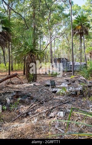 Relitto di Beaufort Bomber che crash sbarcò vicino Higgins Field, nel 1945. Bamaga, Queensland, Australia Foto Stock