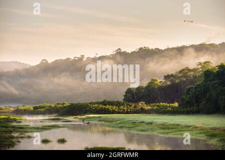 Francia, Guyana francese, Kaw all'alba Foto Stock