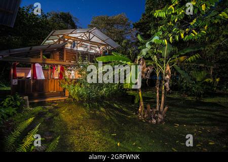 Francia, Guyana francese, Saül, Parc Amazonien de Guyane, Relais du Fromager, sistemazione insolita, in una notte stellata Foto Stock