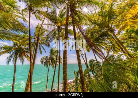 Francia, Guyana francese, Kourou, Isole della salvezza, Isola di Saint-Joseph e i resti della prigione dedicata all'isolamento delle teste forti e dei fuggiaschi Foto Stock