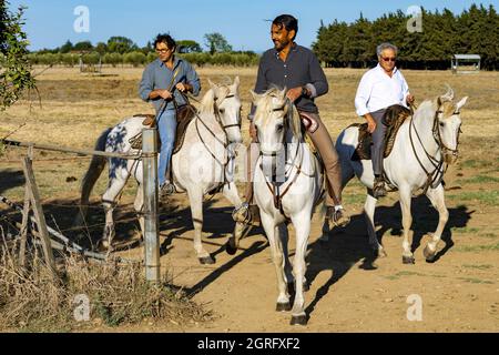 Francia, Gard, Camargue, Generac, Cuille Ranch, smistamento dei tori Foto Stock