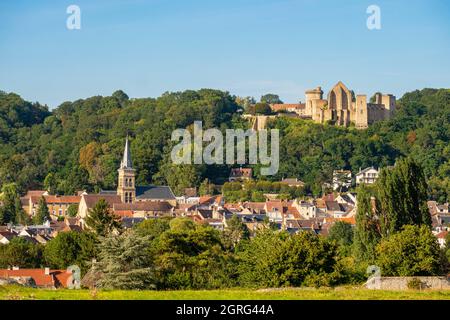 Francia, Yvelines, Parco Regionale della Haute Vallee de Chevreuse, Chevreuse Foto Stock