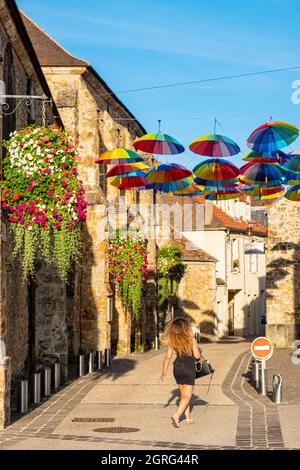 Francia, Yvelines, Parco Regionale della Haute Vallee de Chevreuse, Chevreuse Foto Stock