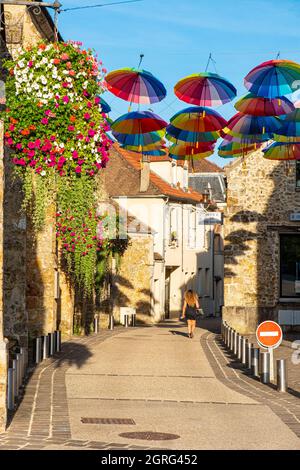 Francia, Yvelines, Parco Regionale della Haute Vallee de Chevreuse, Chevreuse Foto Stock