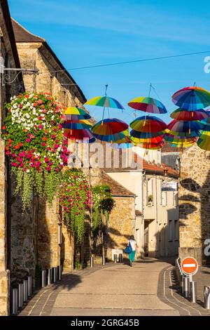 Francia, Yvelines, Parco Regionale della Haute Vallee de Chevreuse, Chevreuse Foto Stock