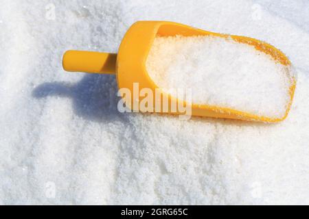 Francia, Vendee, Noirmoutier Island, l'Epine, palude di montagna, Fleur de Sel raccolto a mano Foto Stock