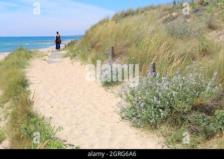 Francia, Vandea, Noirmoutier Island, la Gueriniere, Pointe de la Loire Foto Stock